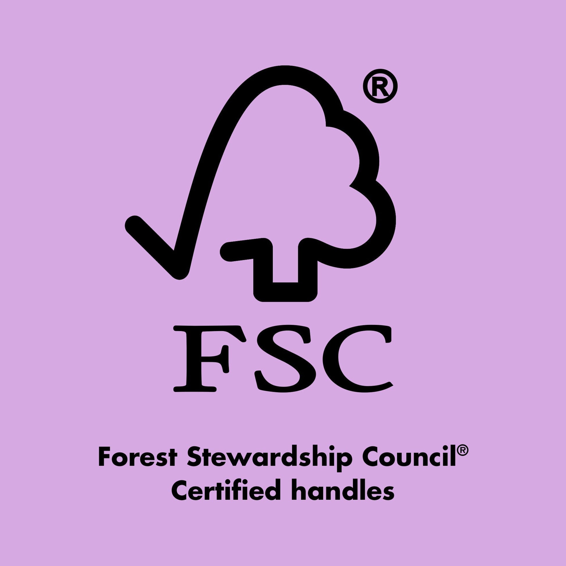 ten-out-of-ten-brush-kit-s5 0423_EDUCATION_FSC_EVERGREEN.jpg