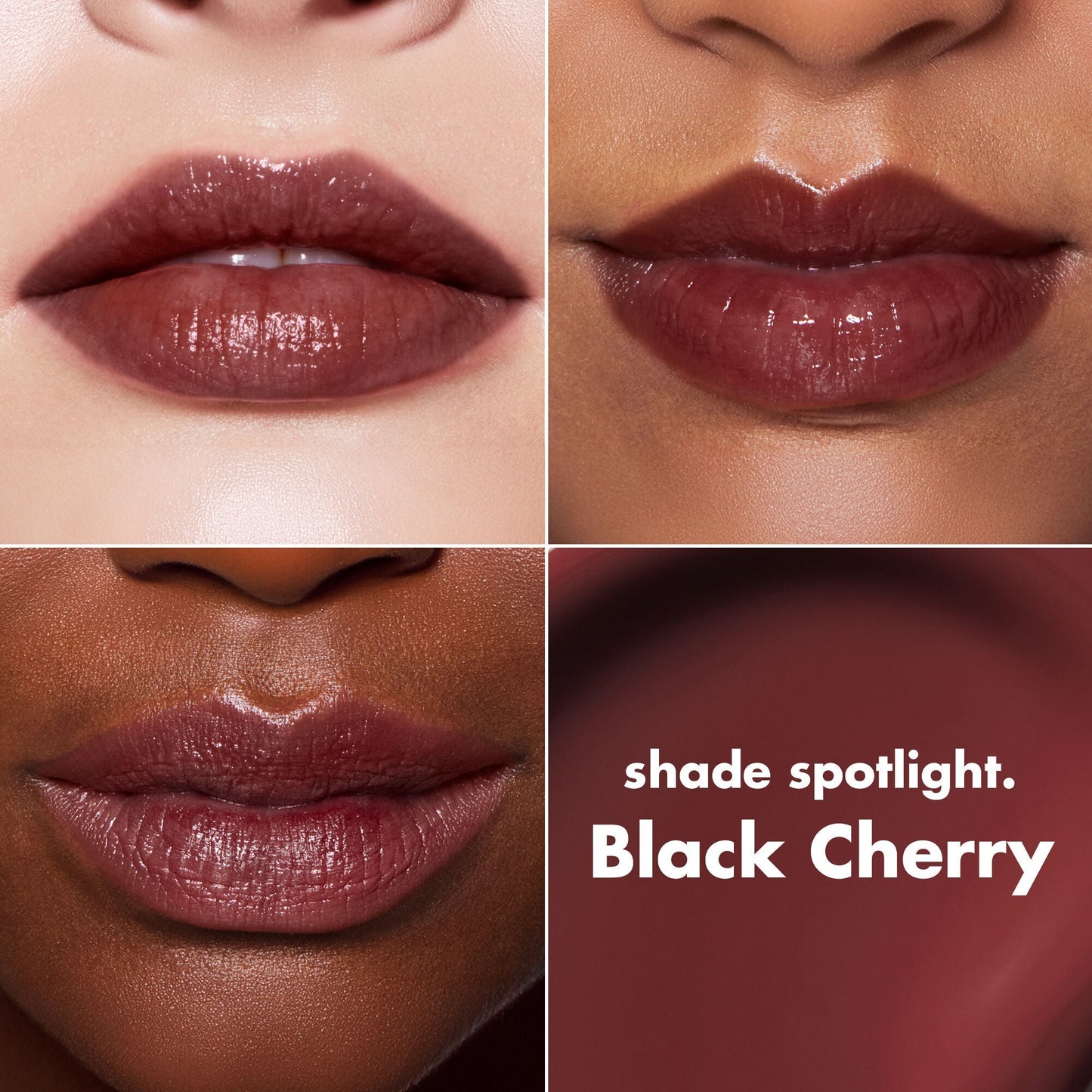 lip-lacquer-z6 0426_EDU_LipLaquer_ShadeChart_BlackCherry.jpg