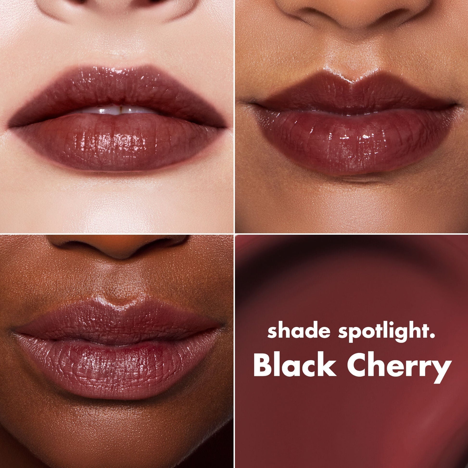 lip-lacquer-z6 0426_EDU_LipLaquer_ShadeChart_BlackCherry.jpg