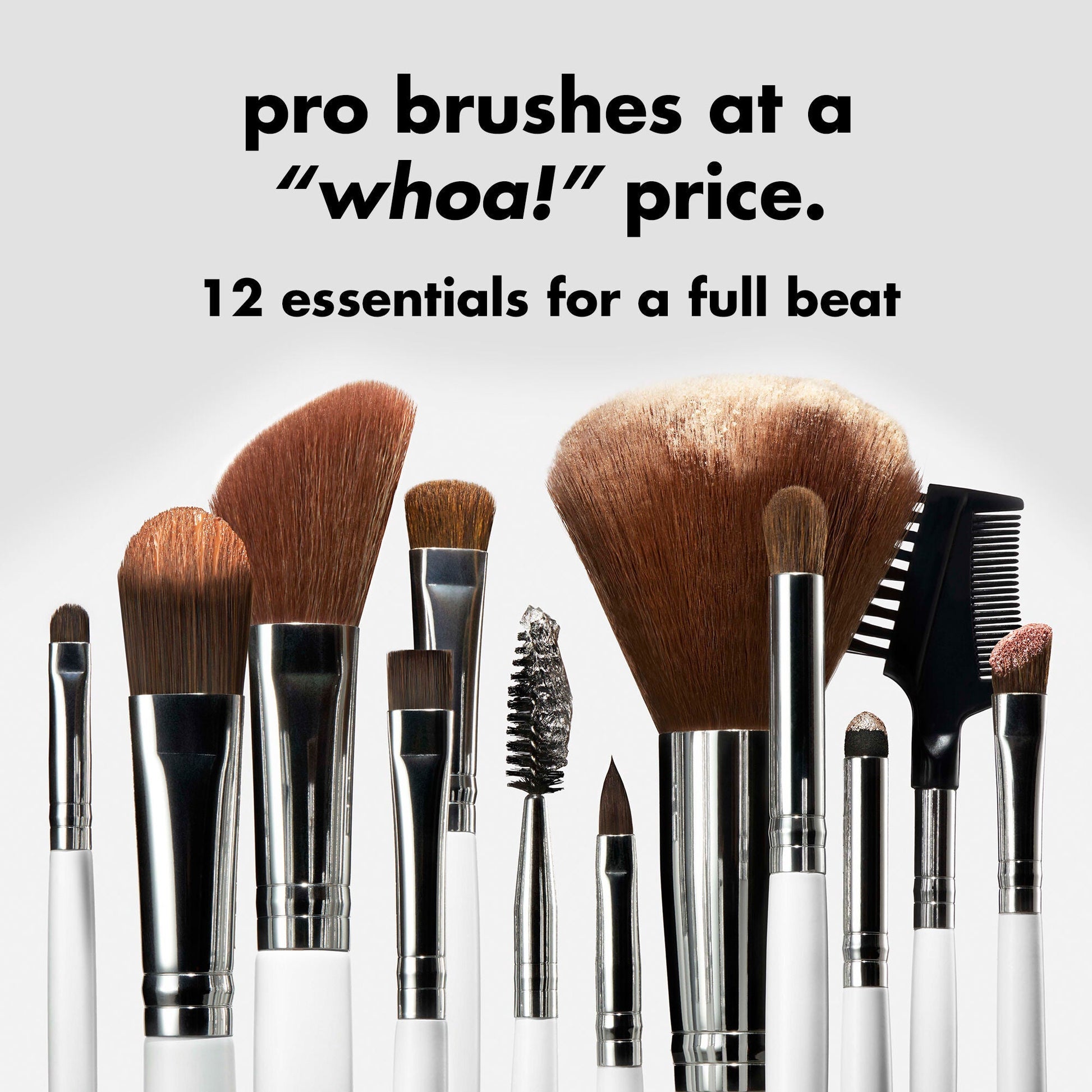 professional-set-of-12-makeup-brushes-u0 0823_PDP_BRUSHES_12-PIECE_SET_PRODUCT.jpg